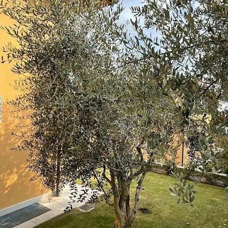 Valpolicella: Residenza Olivo Σπίτι διακοπών